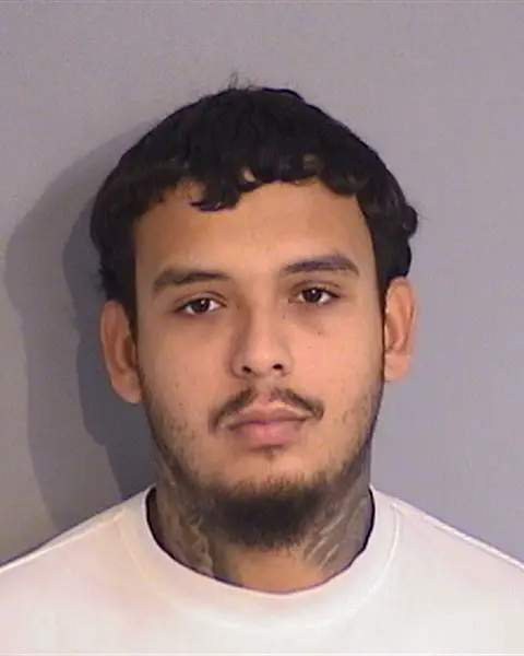 JALIL PELLICIER-ROBLES