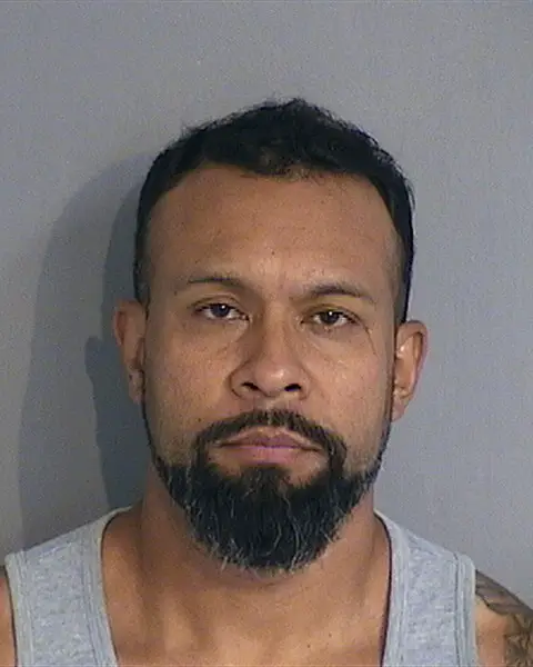 CESAR CAMARENO-BRICENO