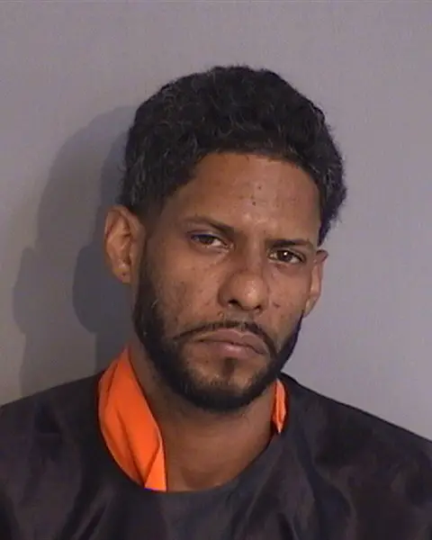 MIZAEL DELACRUZ-PICHARDO